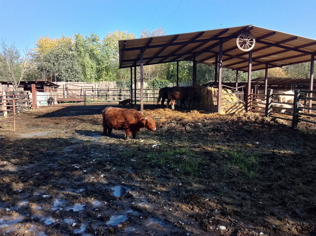 Cowboyland景点图片