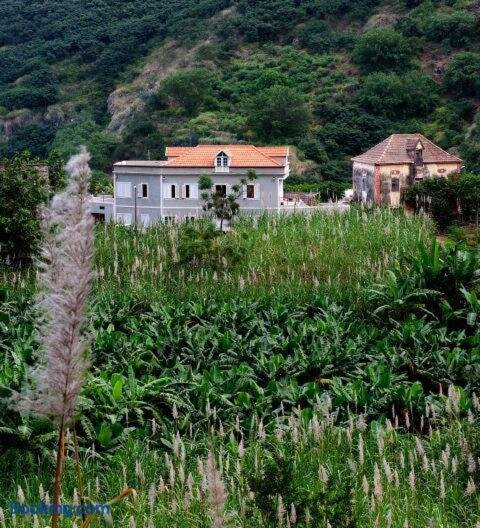 瓦农旅馆