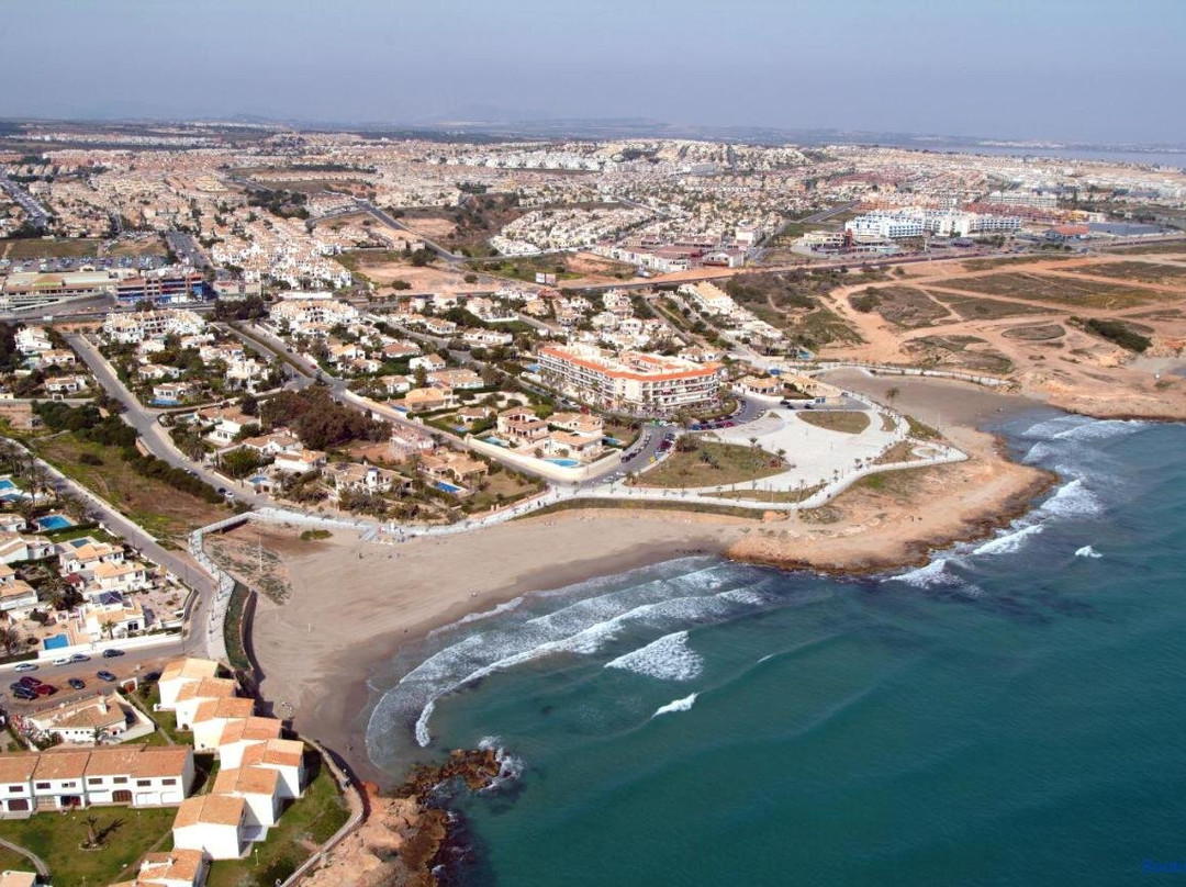 Flores Playa Flamenca