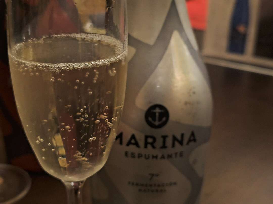 Bodegas Bocopa-阿利坎特省必去景点