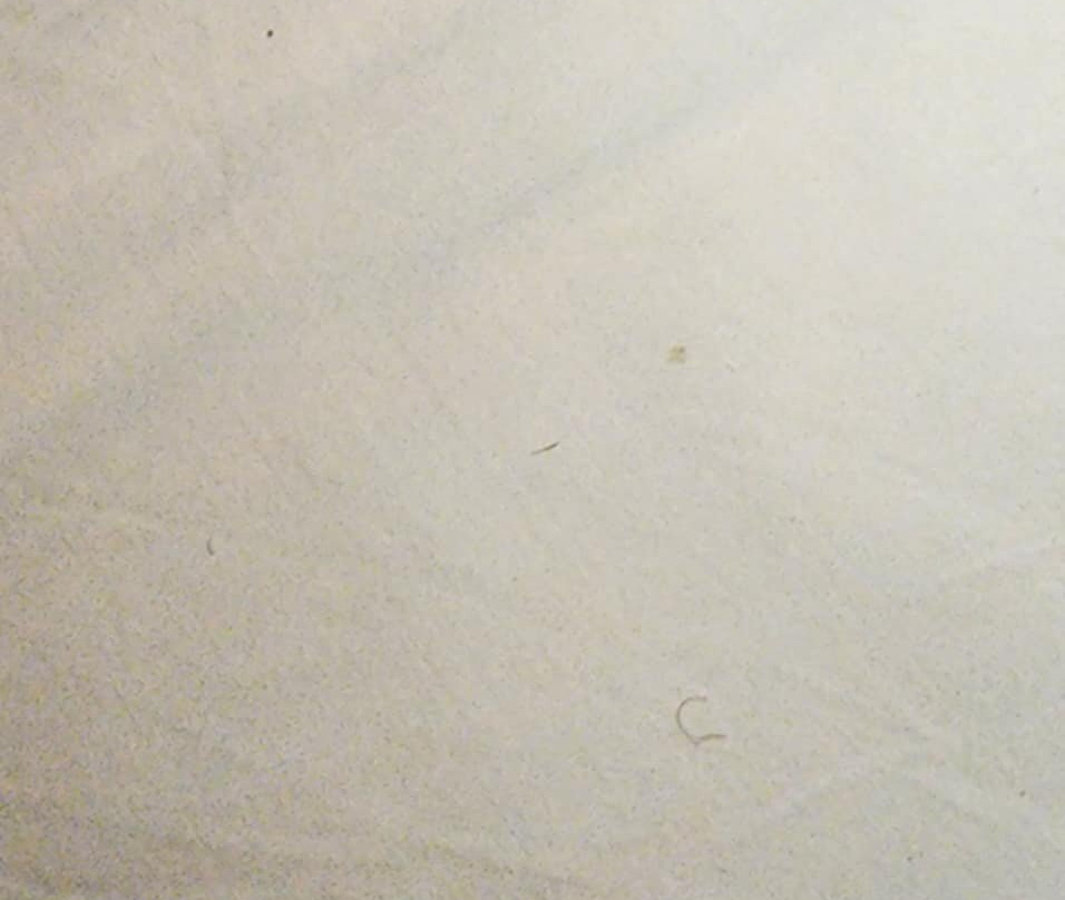 Baymont by Wyndham Erie主图