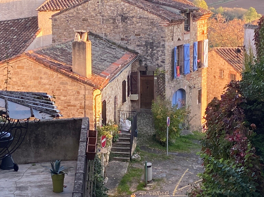 Halle de Cordes-sur-Ciel景点图片