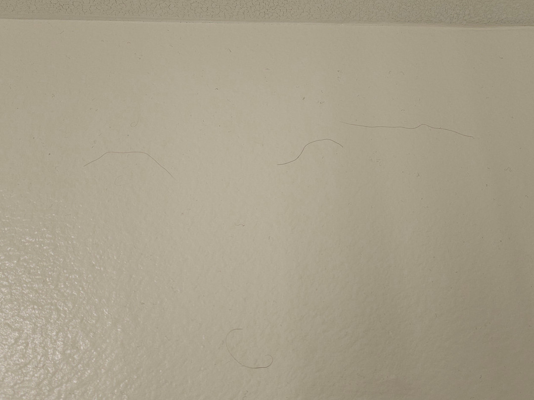 Hilton Garden Inn Longmont主图