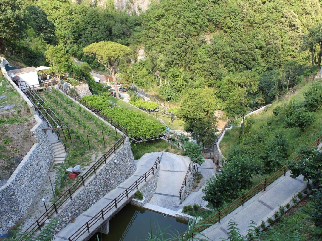 Tenuta Bosco