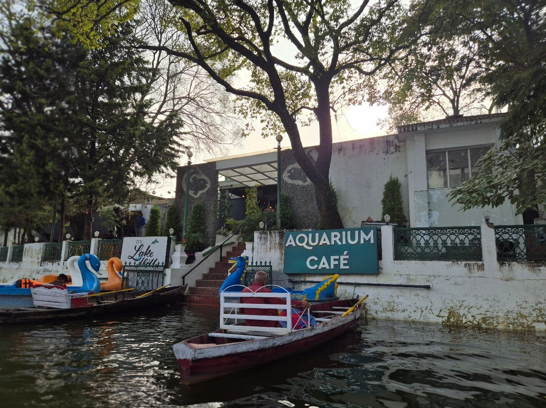 Aquarium Island Café景点图片