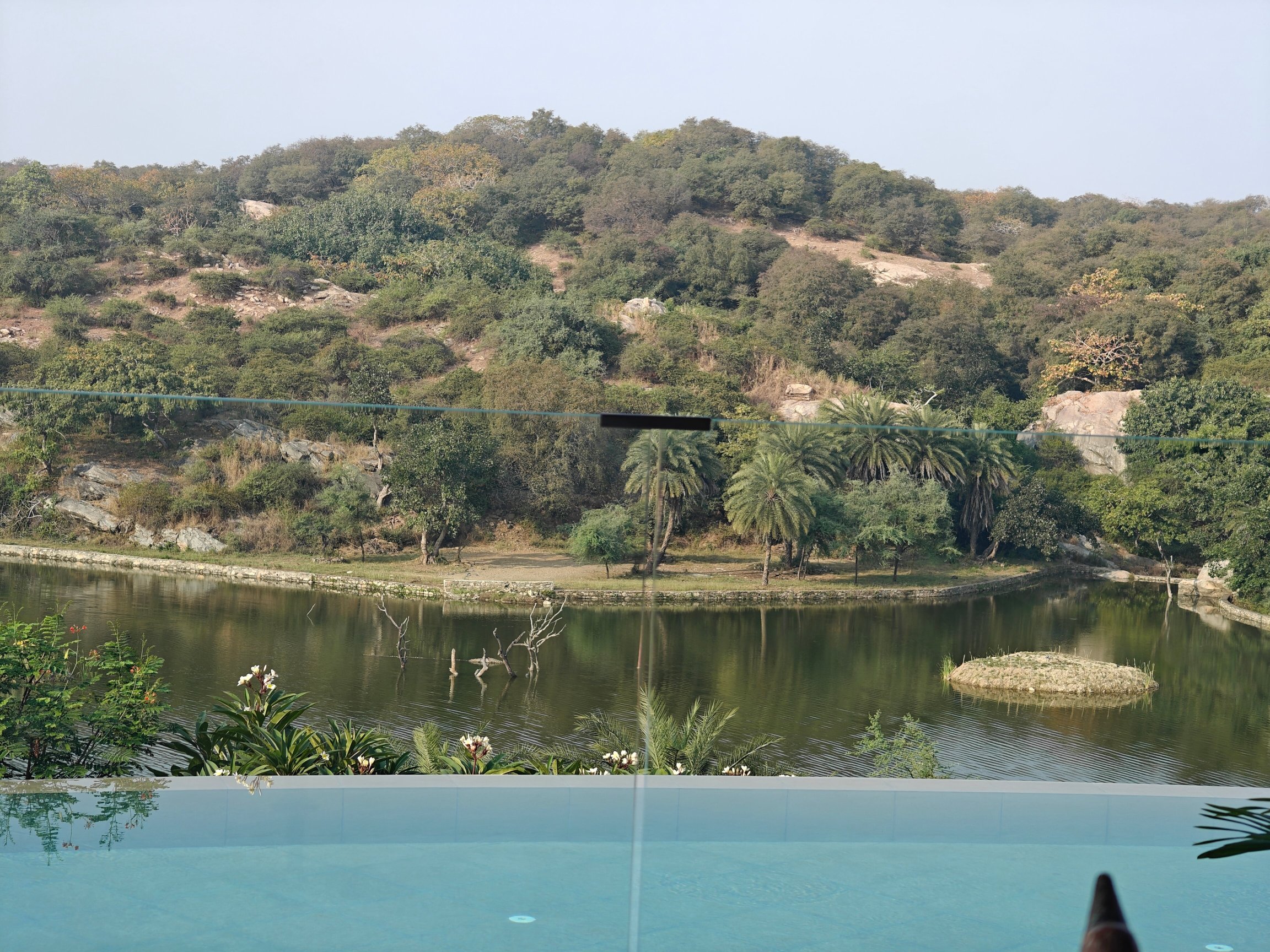 Chunda Shikar Oudi-泳池