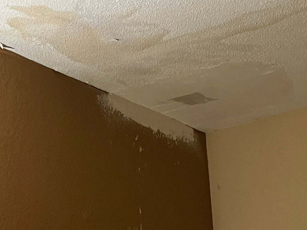 Quality Suites Convention Center主图