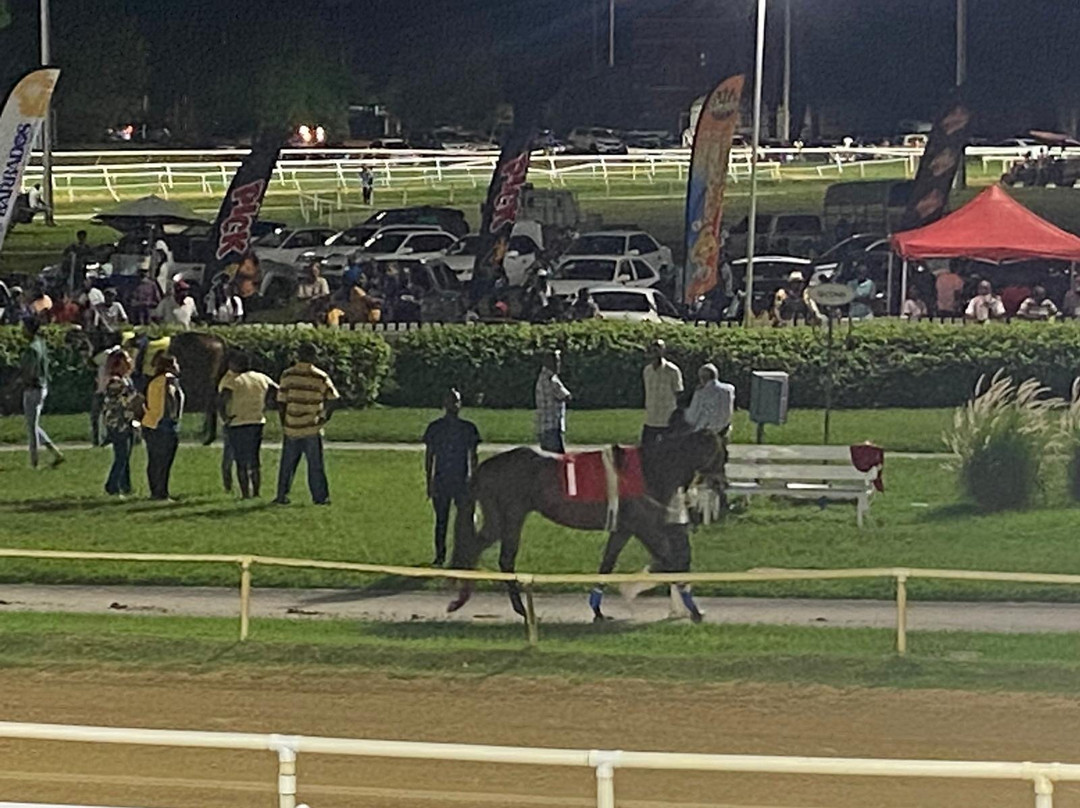 Garrison Savannah - Barbados Turf Club-布里奇顿必去景点