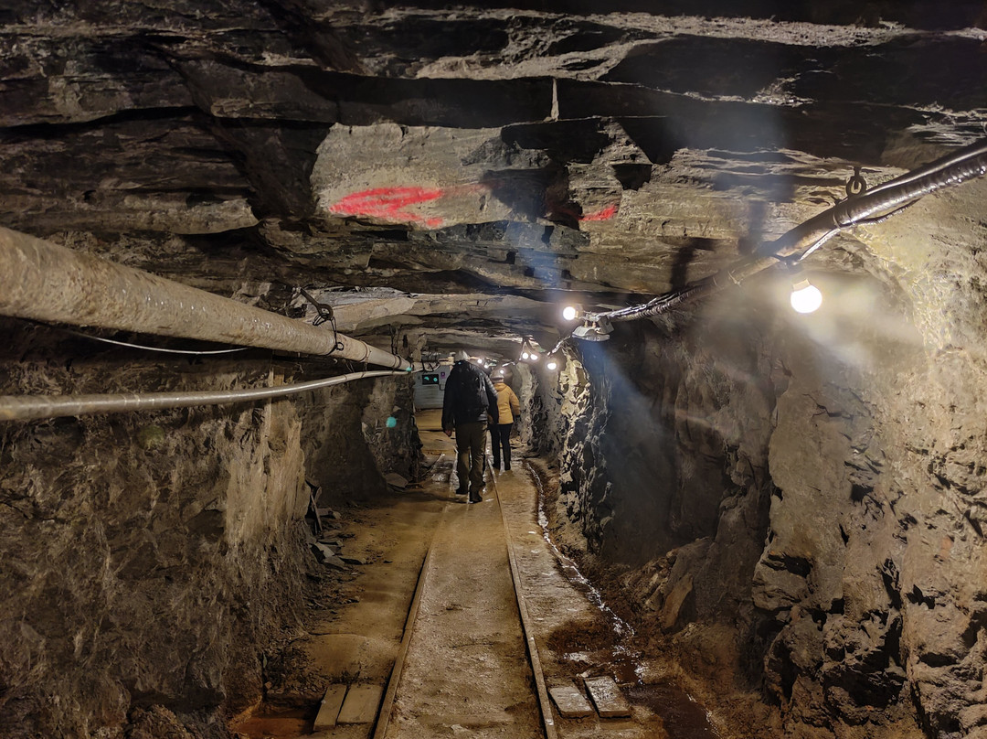 Røros Museum Olav's Mine景点图片