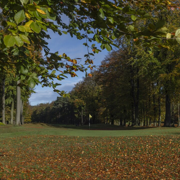 Forest Pines Hotel, Spa & Golf Resort主图