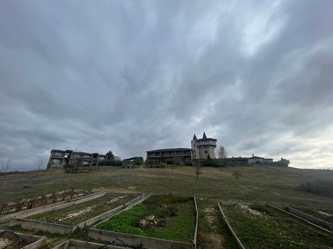 Bakucha Vineyard Hotel主图