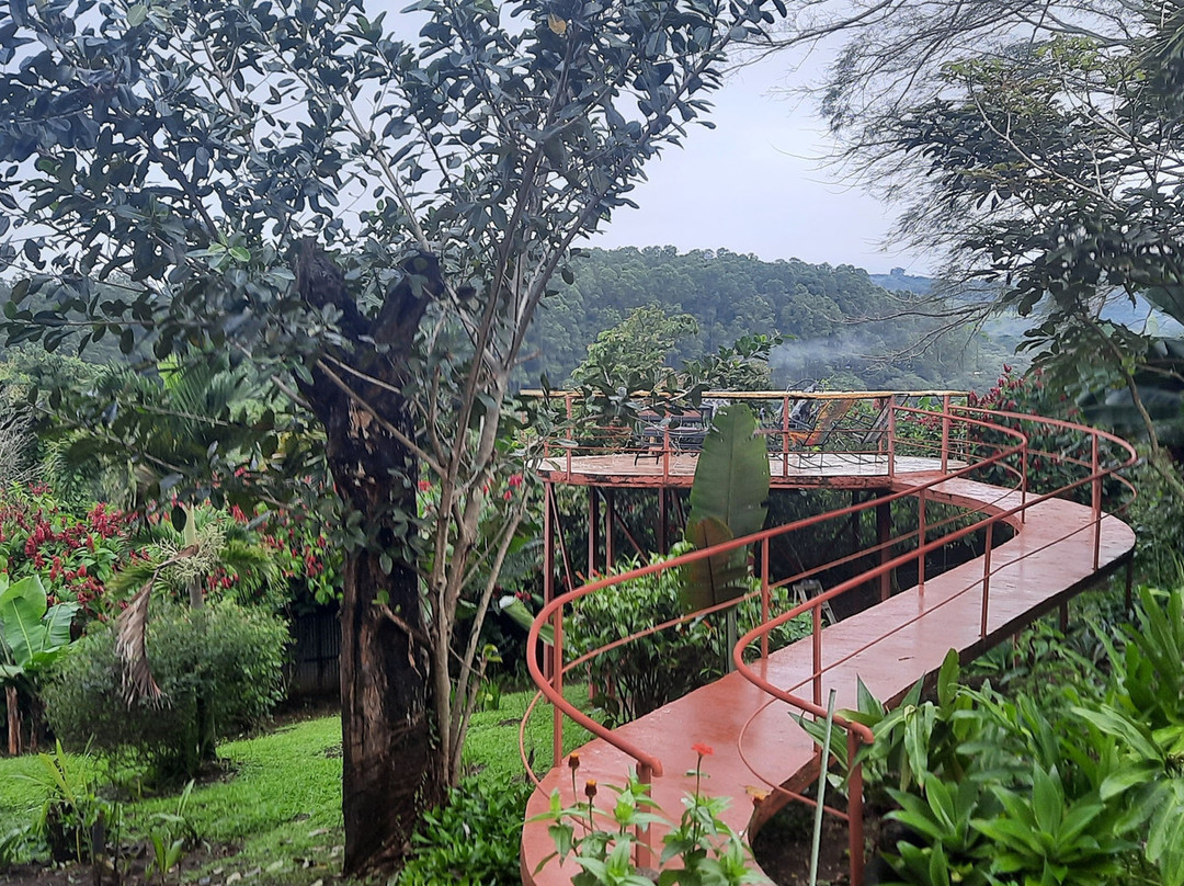 Vista Linda Montaña主图