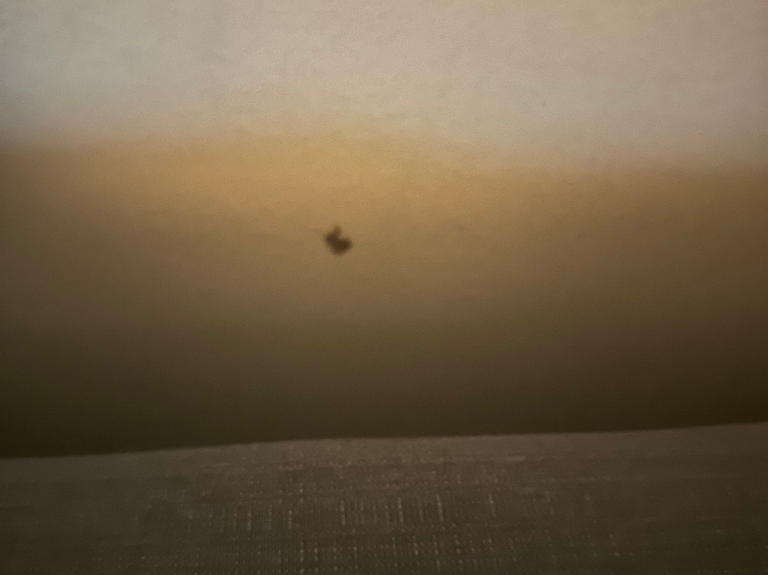 Comfort Suites McKinney主图