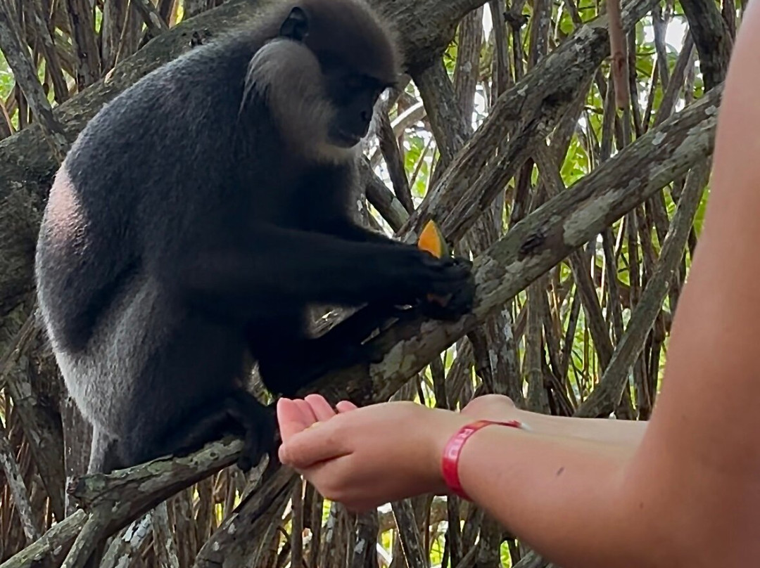 Riu Manga Tours-亚洪加拉必去景点