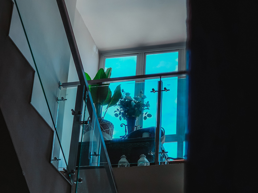 Hotel Panorama 1947主图