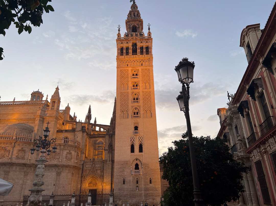 皮内罗宫酒店主图