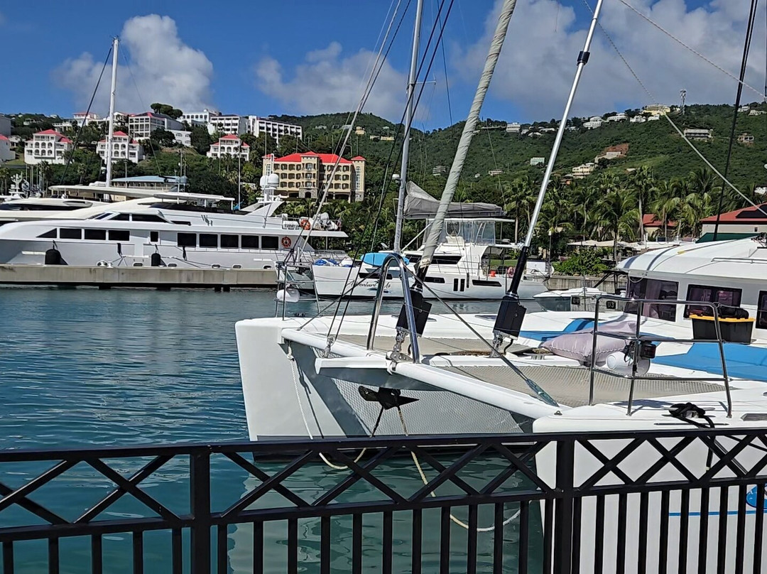 The Green Iguana Hotel主图