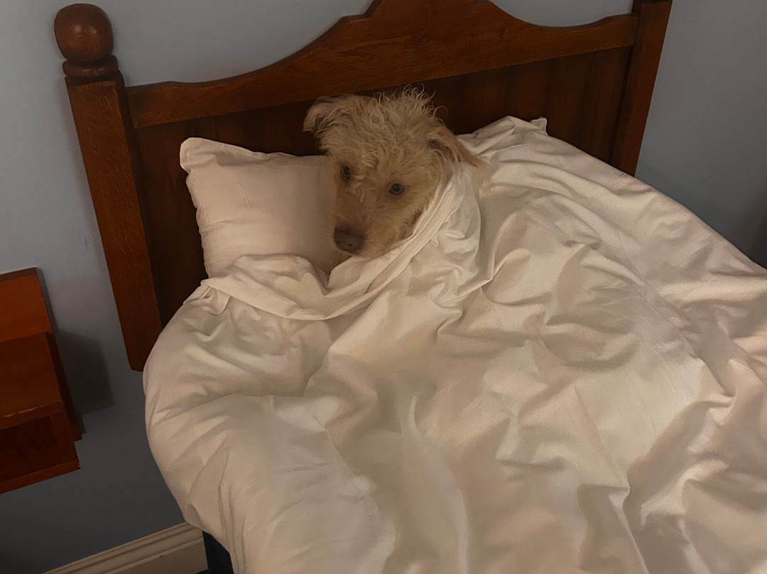 Travelodge Havant Rowlands Castle Hotel主图