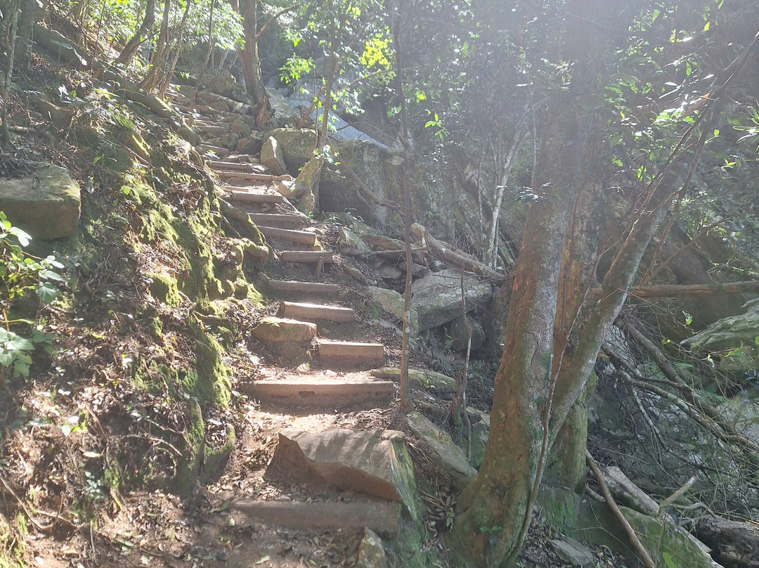 Marloth Nature Reserve-斯韦伦丹必去景点