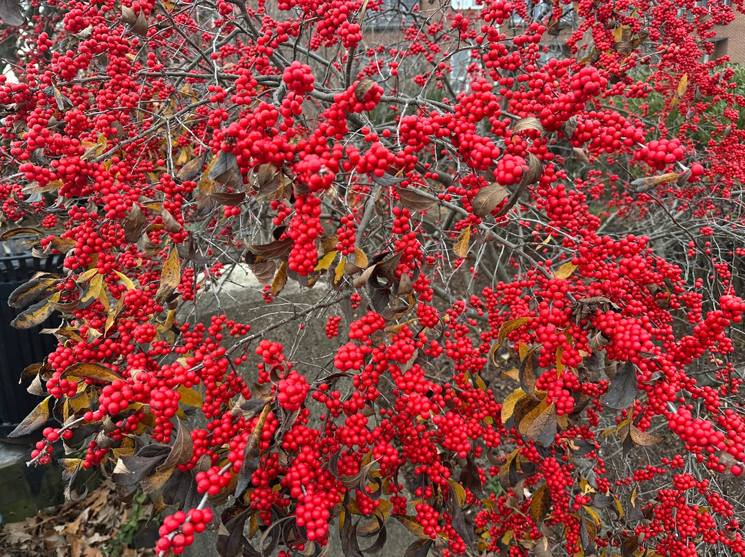 Wilmington Riverwalk-威尔明顿必去景点