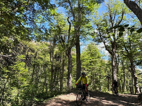 Tu Aventura MTB-Villa Pehuenia必去景点
