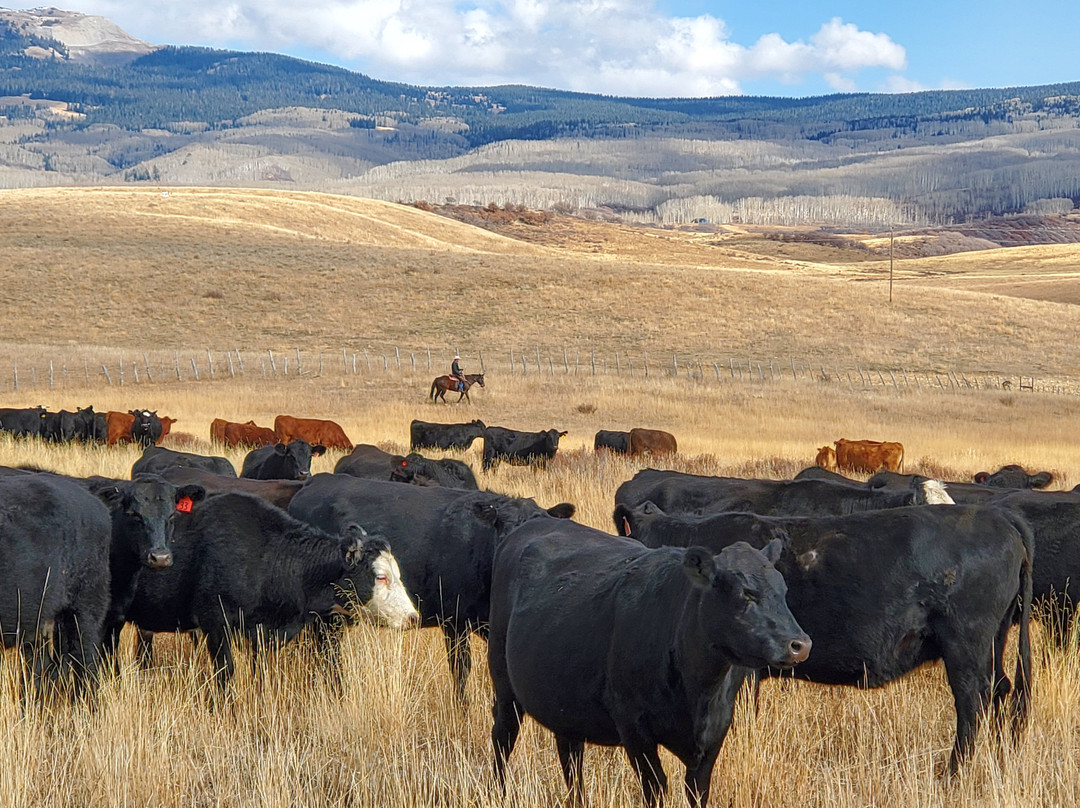 Wild West Excursions-多洛雷斯必去景点
