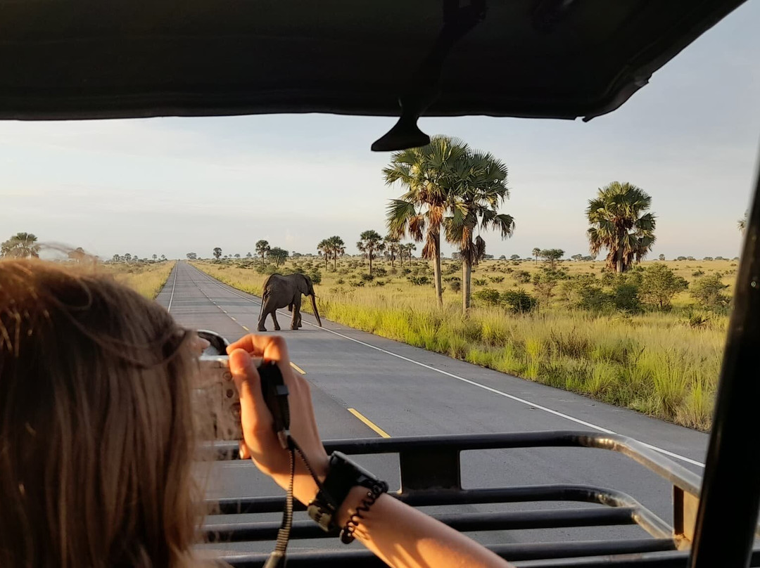 Bright Safaris Uganda-Mbale必去景点