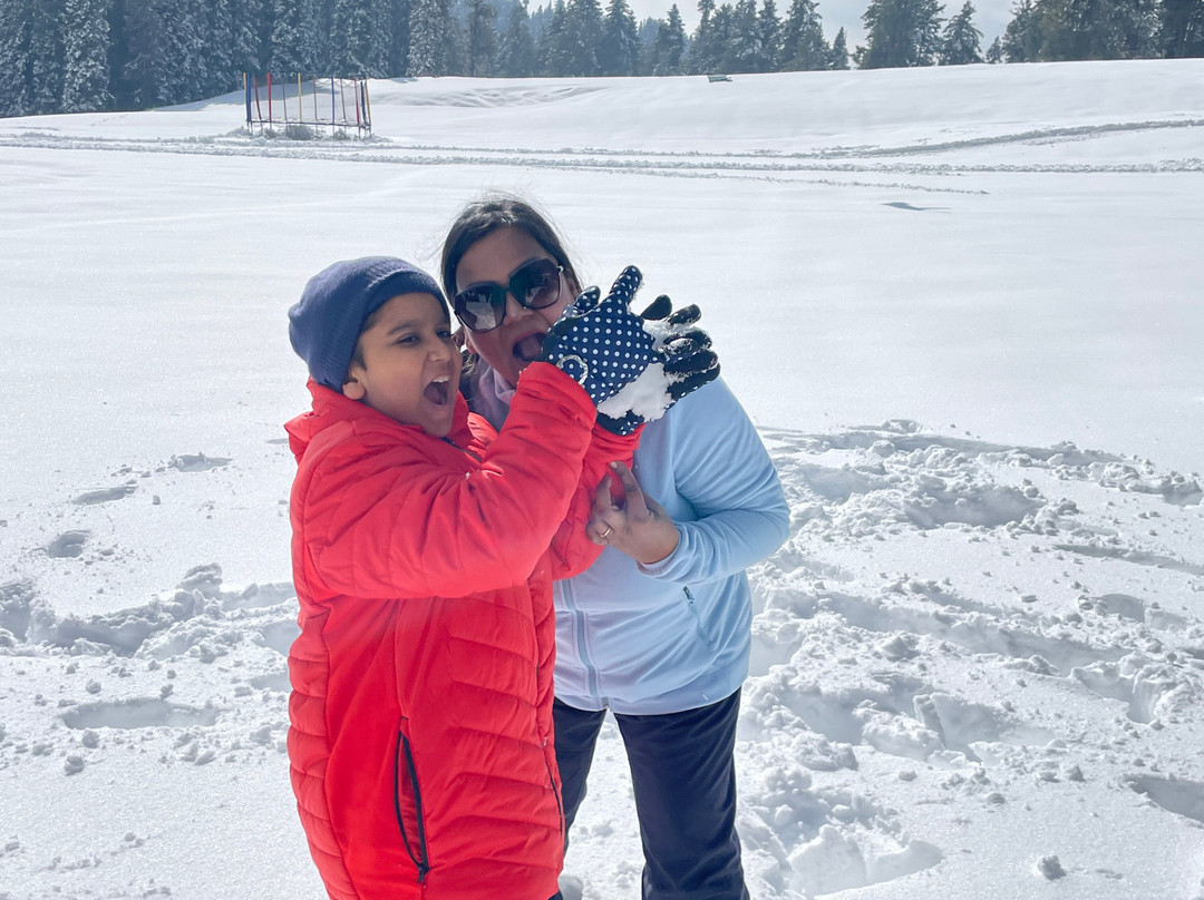 Fortune Pahalgam主图