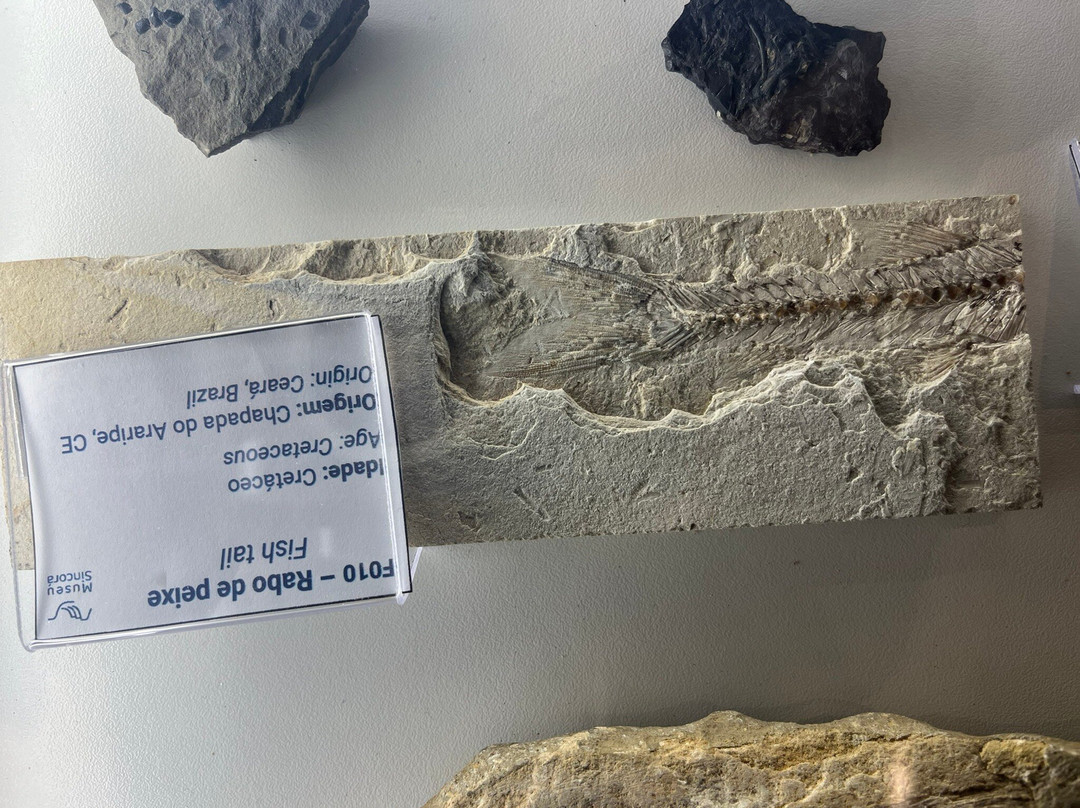 Museu Sincorá-雷恩克斯必去景点