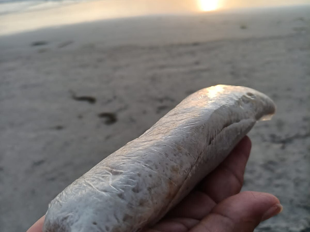 Family House Jeri主图