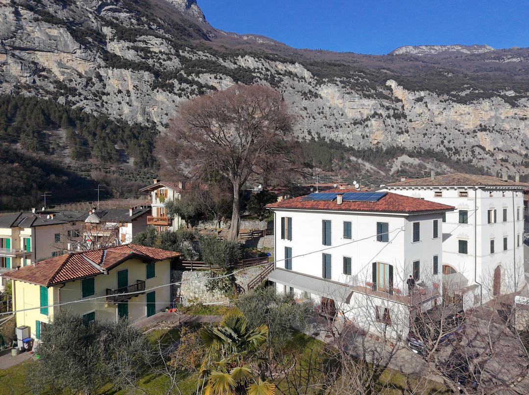 Hotel Garni delle Rose主图