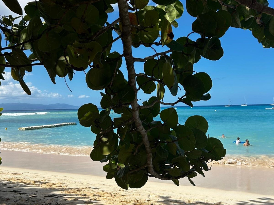 Plage du Souffleur-La Desirade必去景点