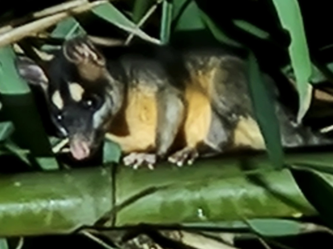 Suforyou-帕拉马里博必去景点