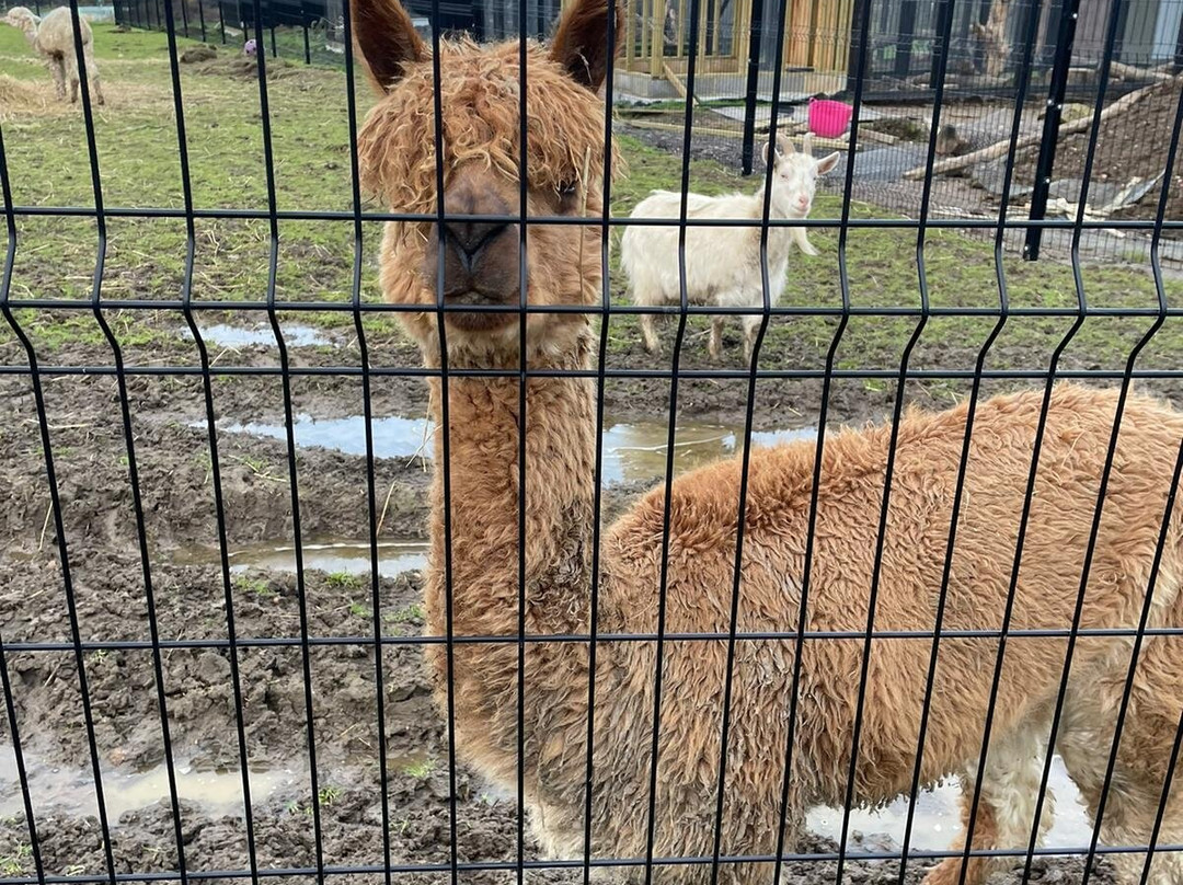 Ashlyns Wildlife Park