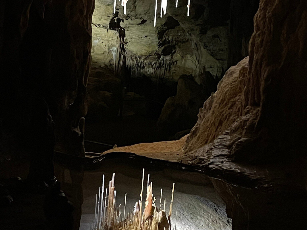 Victoria Fossil Cave-Naracoorte必去景点
