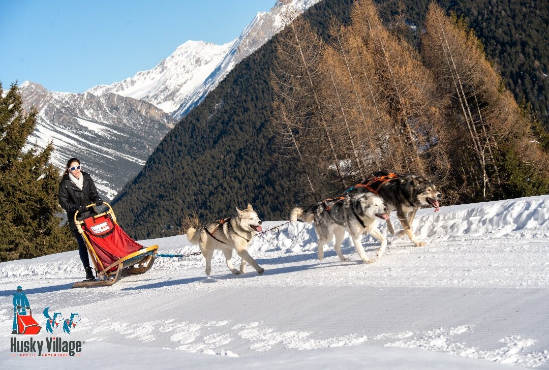 Centro Italiano Sleddog Husky Village-Valdidentro必去景点