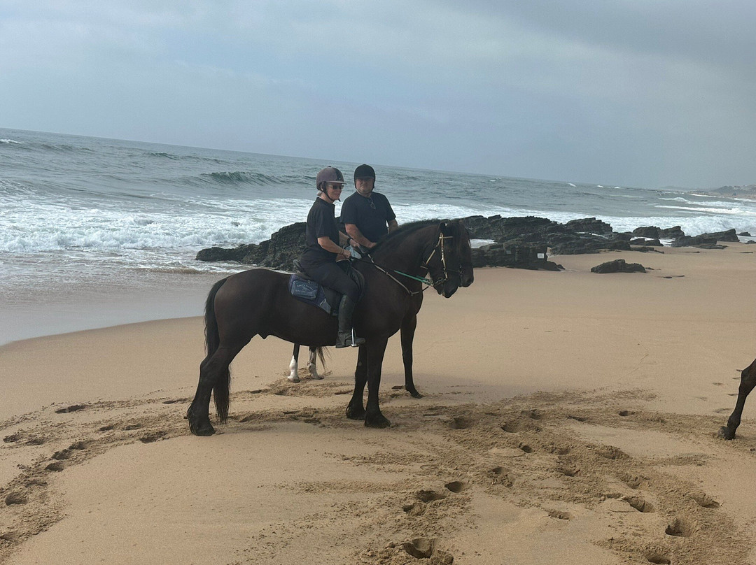 Gary's Horses景点图片