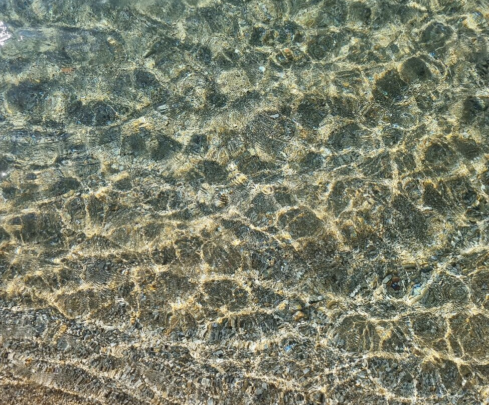 The Wild by Interni主图