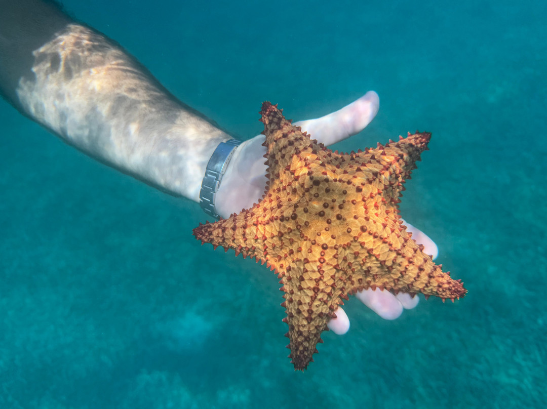 Hostal Casa Culebra主图