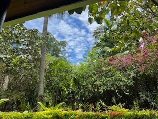 The Fiji Orchid-餐饮