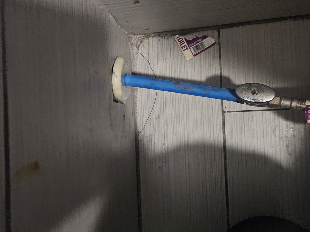 Rodeway Inn Calhoun South主图