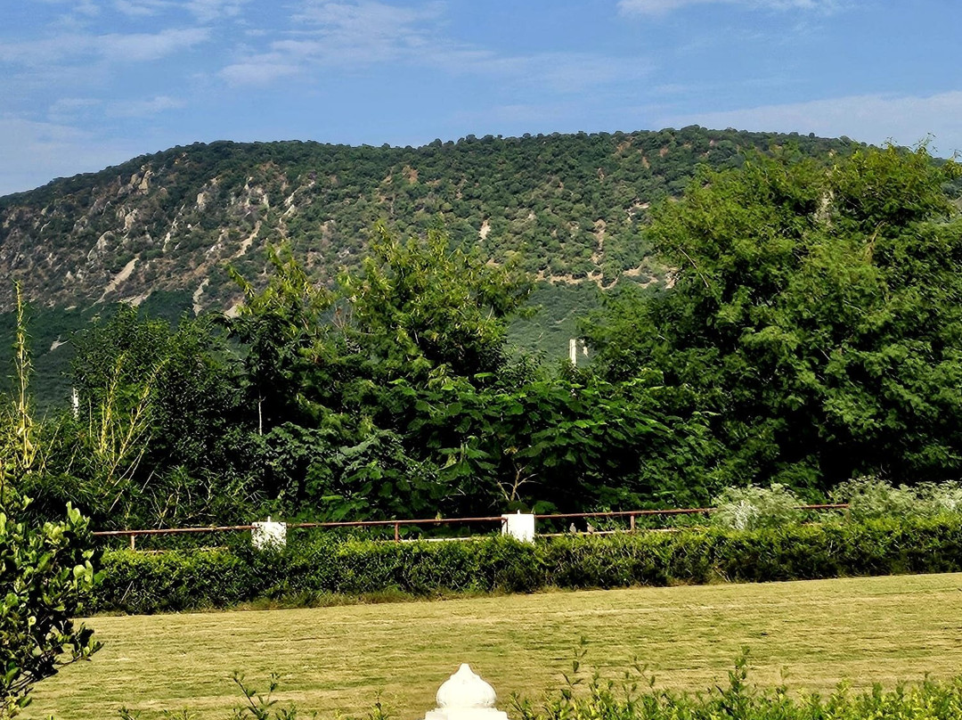 Sariska Safari Lodge主图