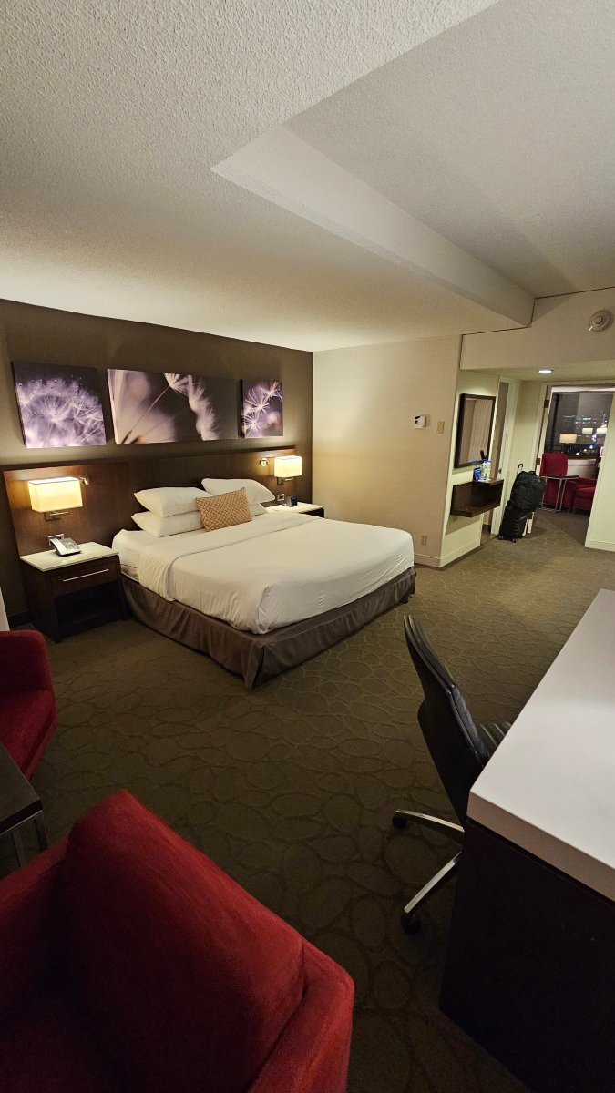 魁北克省德尔塔酒店-客卧