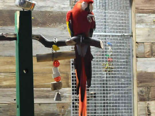 San Antonio Aquarium-圣安东尼奥市必去景点