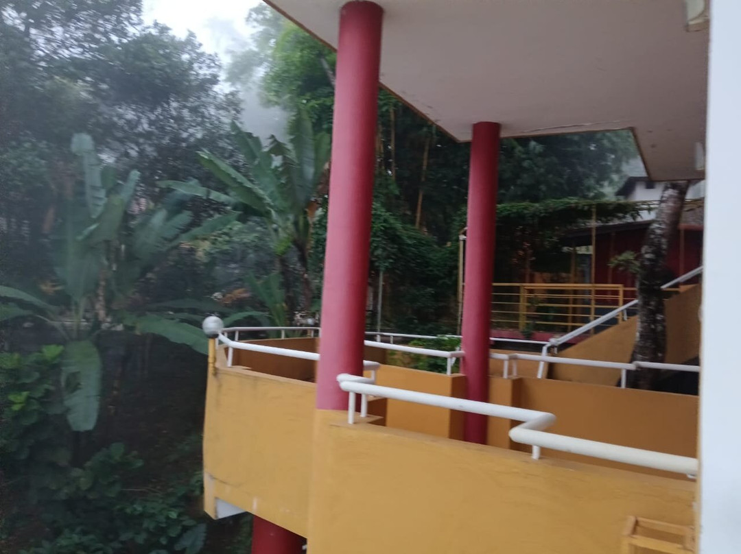 Karapuzha Village Resort主图