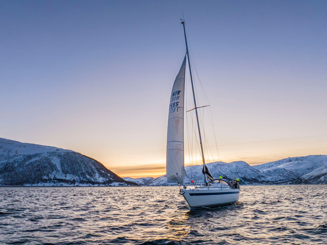 Veidemann Sailing-特罗姆瑟必去景点