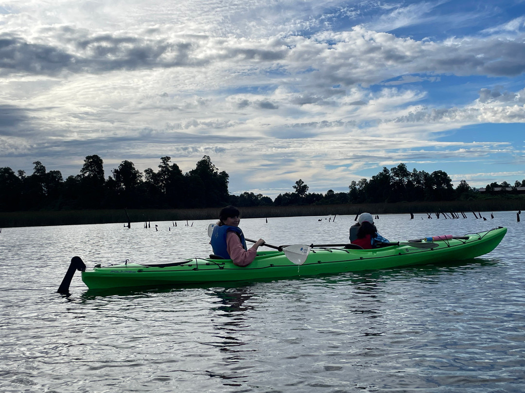 Rio Vivo-瓦尔迪维亚必去景点