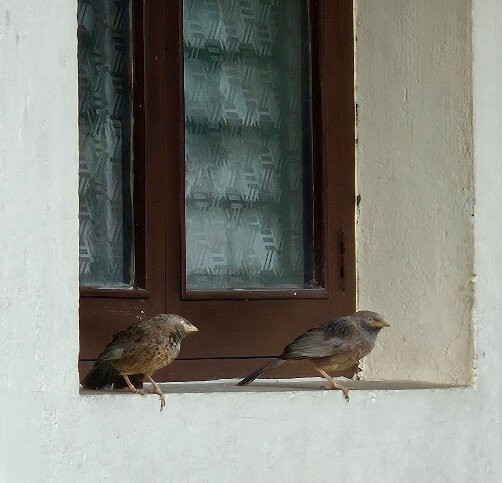 Kumbakonam Inn Hotels - Kumbakonam Inn Stay主图