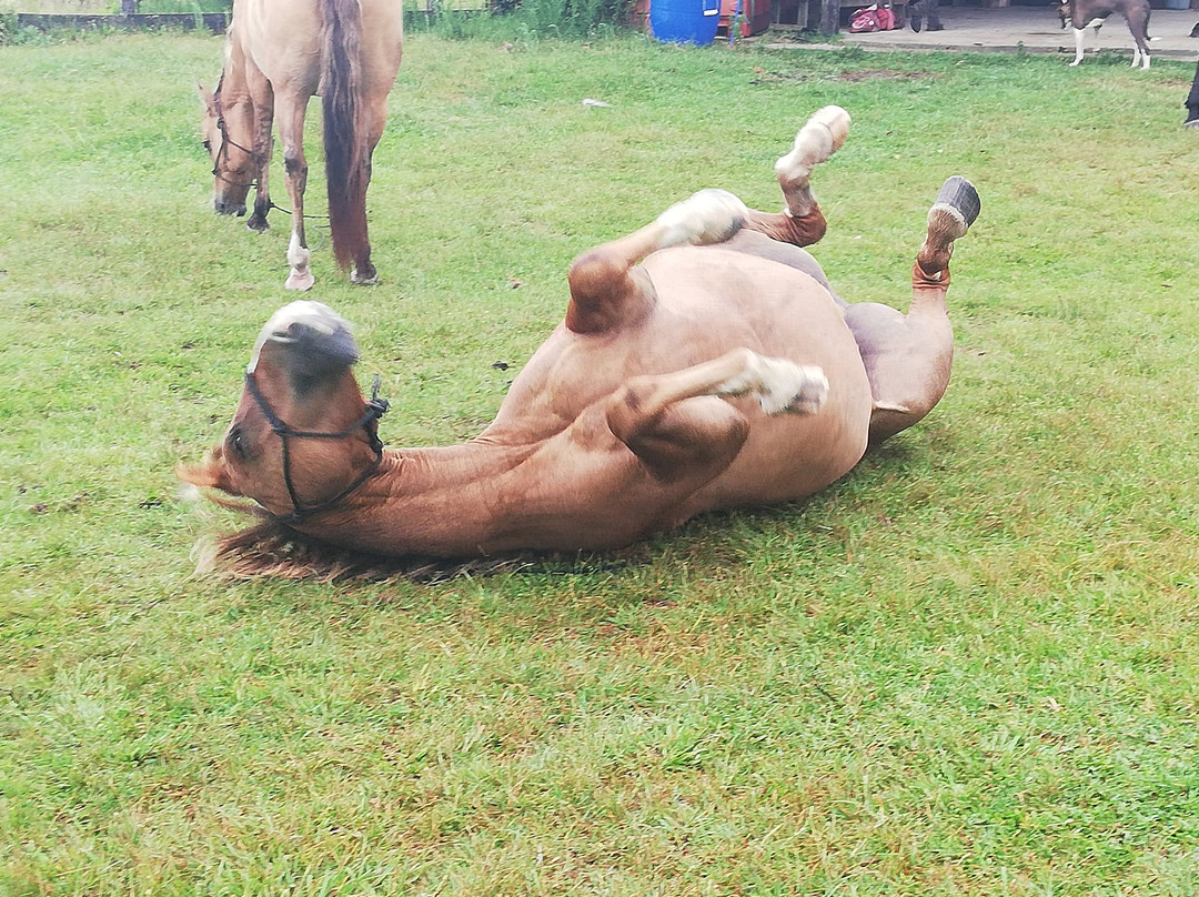 Cabalgatas Valiceras-Valizas必去景点