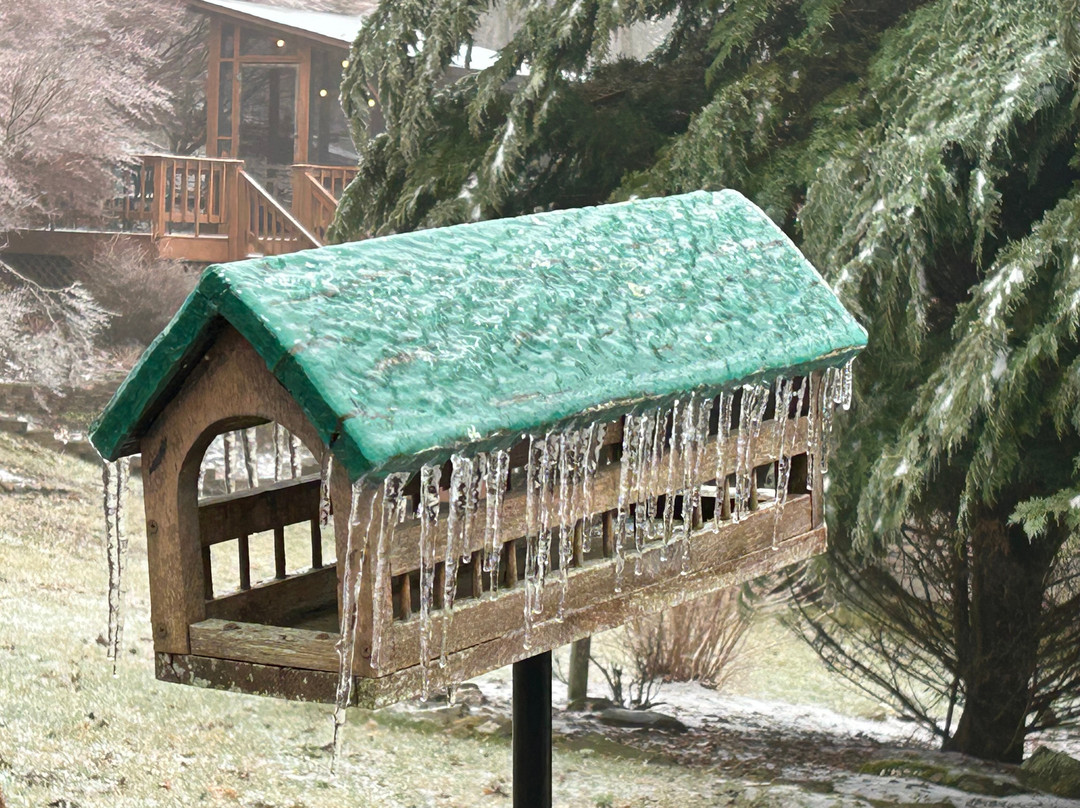 Lovill House Inn主图